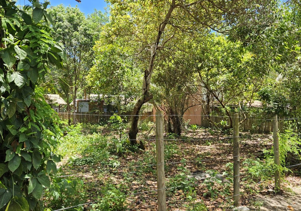 Terreno-a-venda-em-santo-andre-bahia