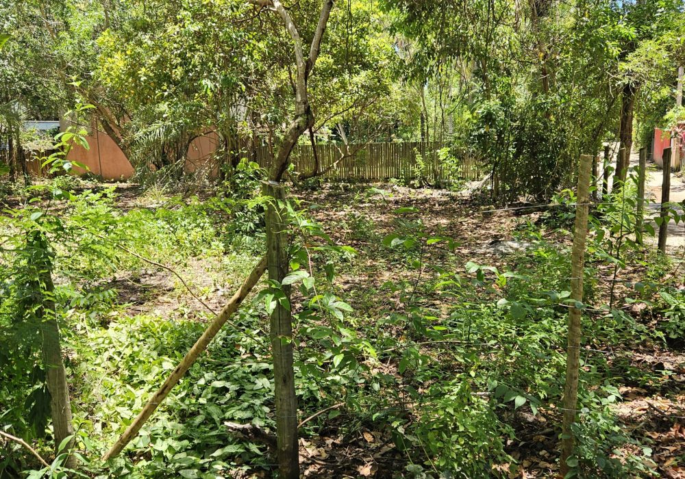 Terreno-a-venda-em-santo-andre-bahia