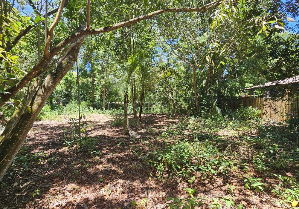 Terreno-a-venda-em-santo-andre-bahia