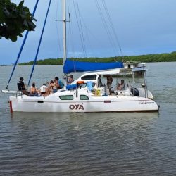 7c49ee60-85a6-4d8a-a339-957430e40409