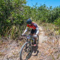 DD100K anteriores (2)