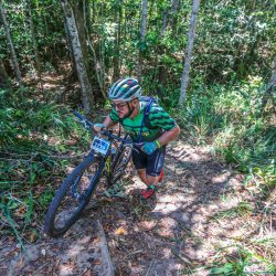 DD100K anteriores (3)