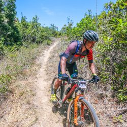 DD100K anteriores (6)