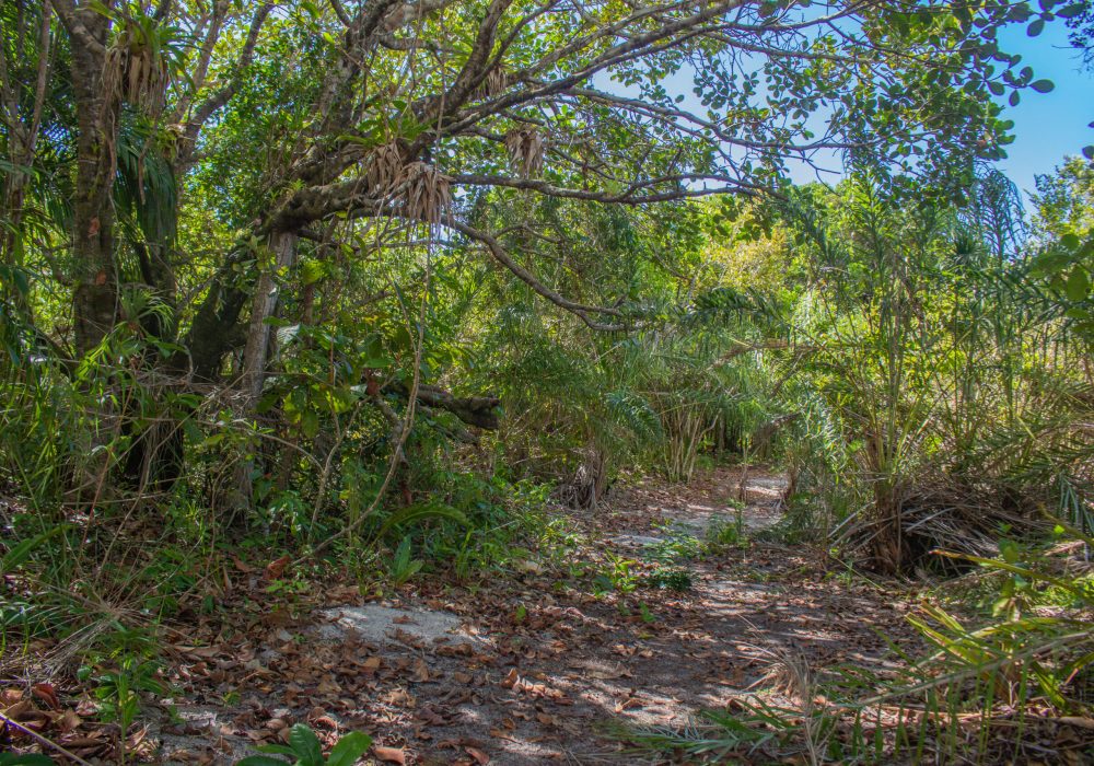 lotes-a-venda-em-santo-andre-bahia