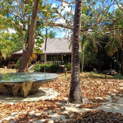 Victor Hugo set 2025