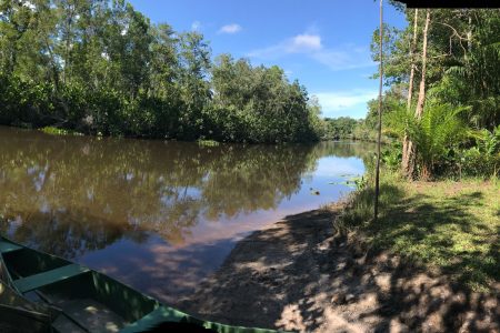 Terreno-beira-rio-santacruzcabralia-bahia