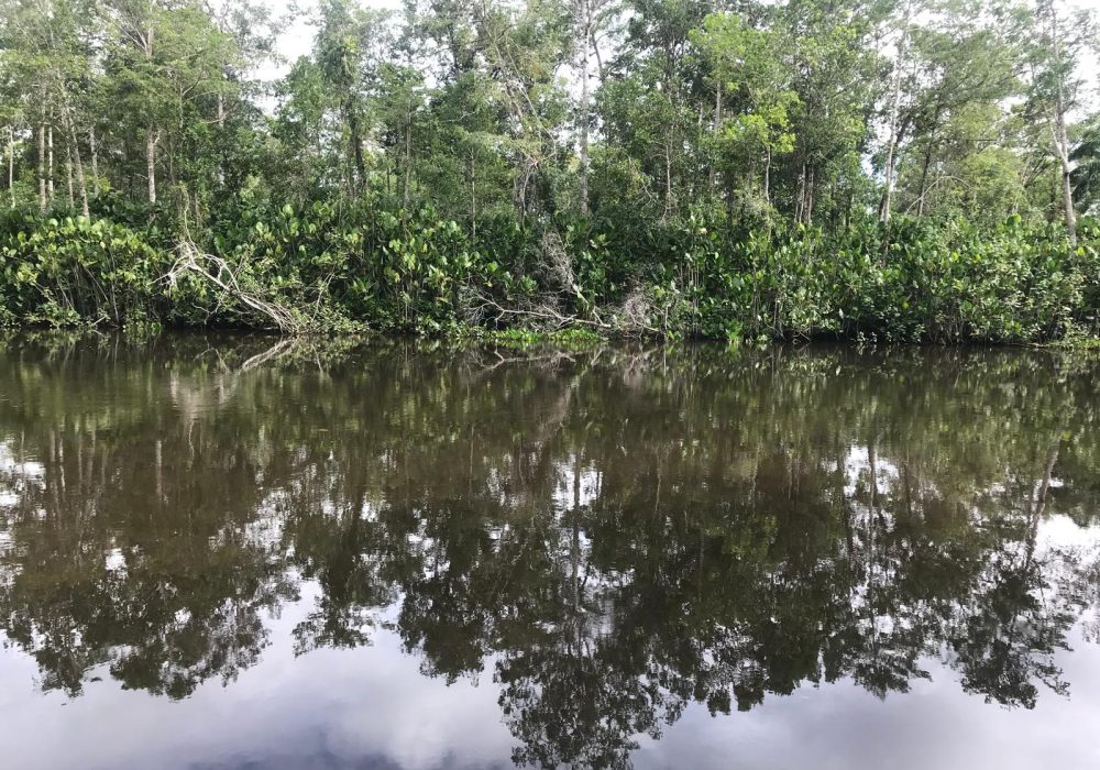 Terreno-beira-rio-santacruzcabralia-bahia