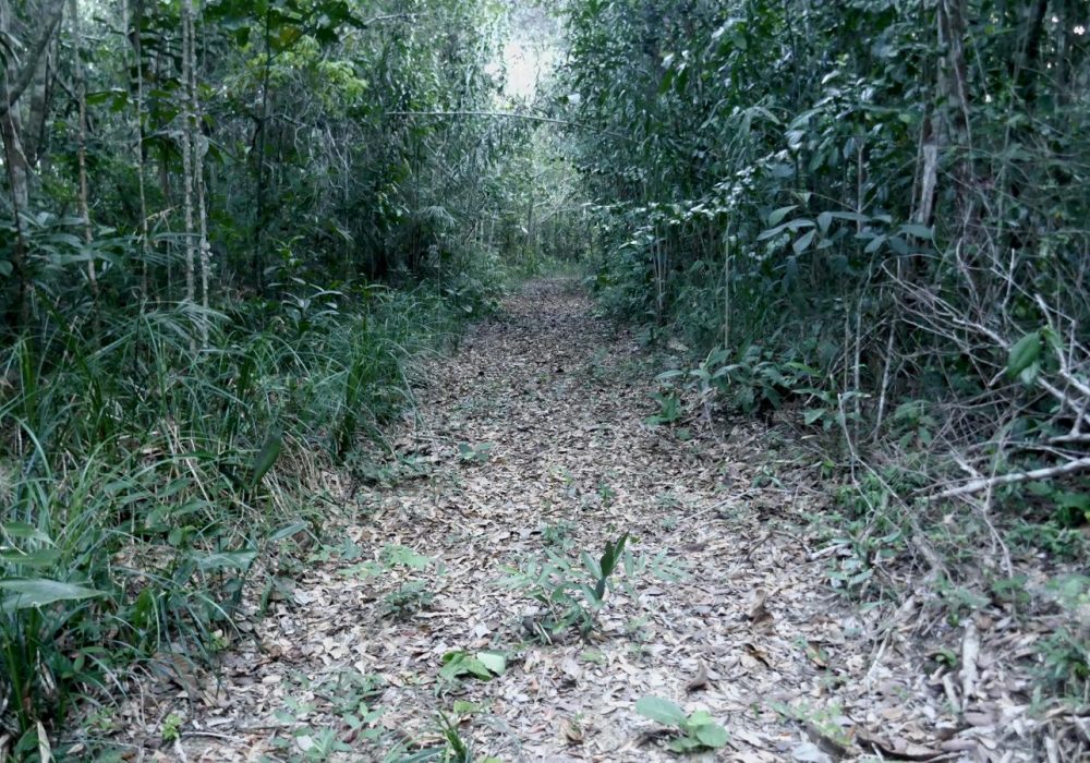 Terreno-beira-rio-santacruzcabralia-bahia