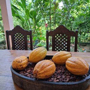 casa-aluguel-de-temporada-em-santo-andre-bahia