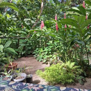 casa-aluguel-de-temporada-em-santo-andre-bahia