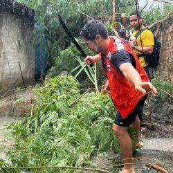 brigada toni ormundo (11)