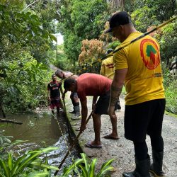 brigada toni ormundo (12)