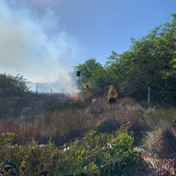 brigada toni ormundo (2)