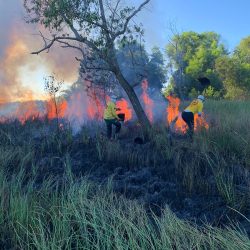 brigada toni ormundo (3)