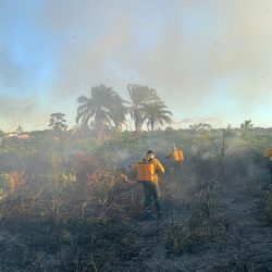 brigada toni ormundo (5)