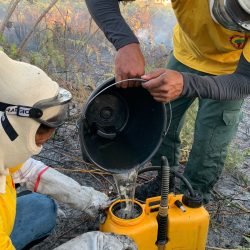 brigada toni ormundo (6)
