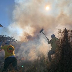 brigada toni ormundo (7)