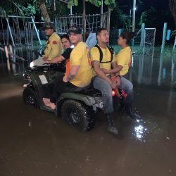 brigada toni ormundo (8)