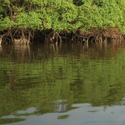 Santo Andr - Santa Cruz de Cabrlia - Bahia - BrasilFoto Alexandre CampbellSetembro de 2006