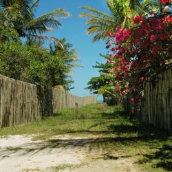 Santo André - Santa Cruz de Cabrália - Bahia - BrasilFoto Alexandre CampbellSetembro de 2006