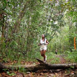 f4f38dd9-0d07-44ce-86c6-df142c57a88f