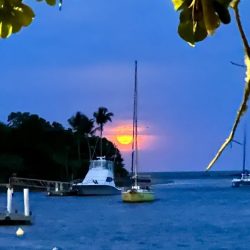 fotos @cyhorowicz (11)