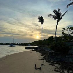 fotos @cyhorowicz (5)