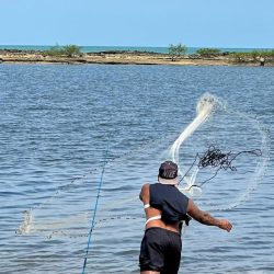 fotos @cyhorowicz (7)