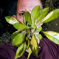 jpaccacio_animalvegetal_3x4